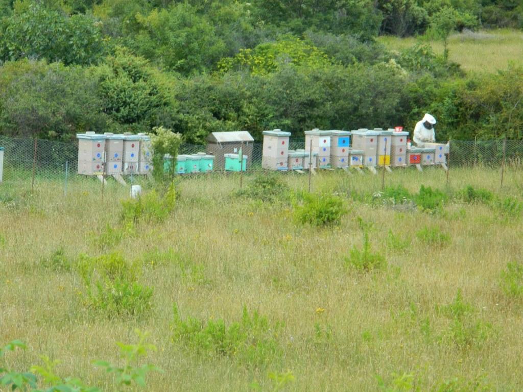 Libera Apartments Stara Baška Kültér fotó